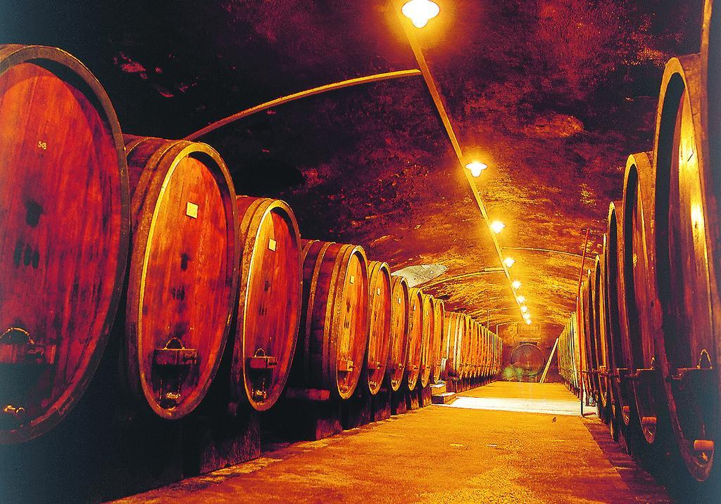 Weinstube Schwarzamsel Apartment Speyer Ngoại thất bức ảnh