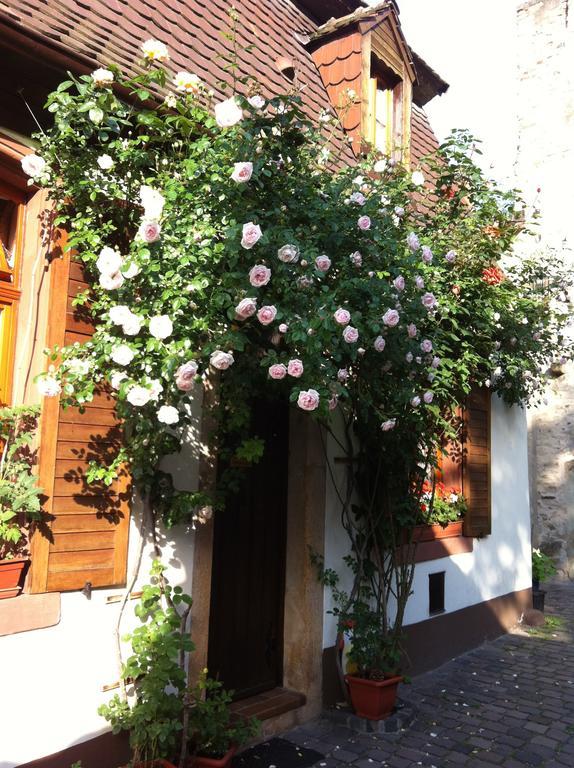 Weinstube Schwarzamsel Apartment Speyer Ngoại thất bức ảnh